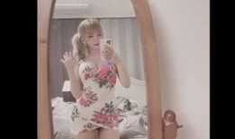 大马网红爆料视频大全,揭秘网络红人幕后真相